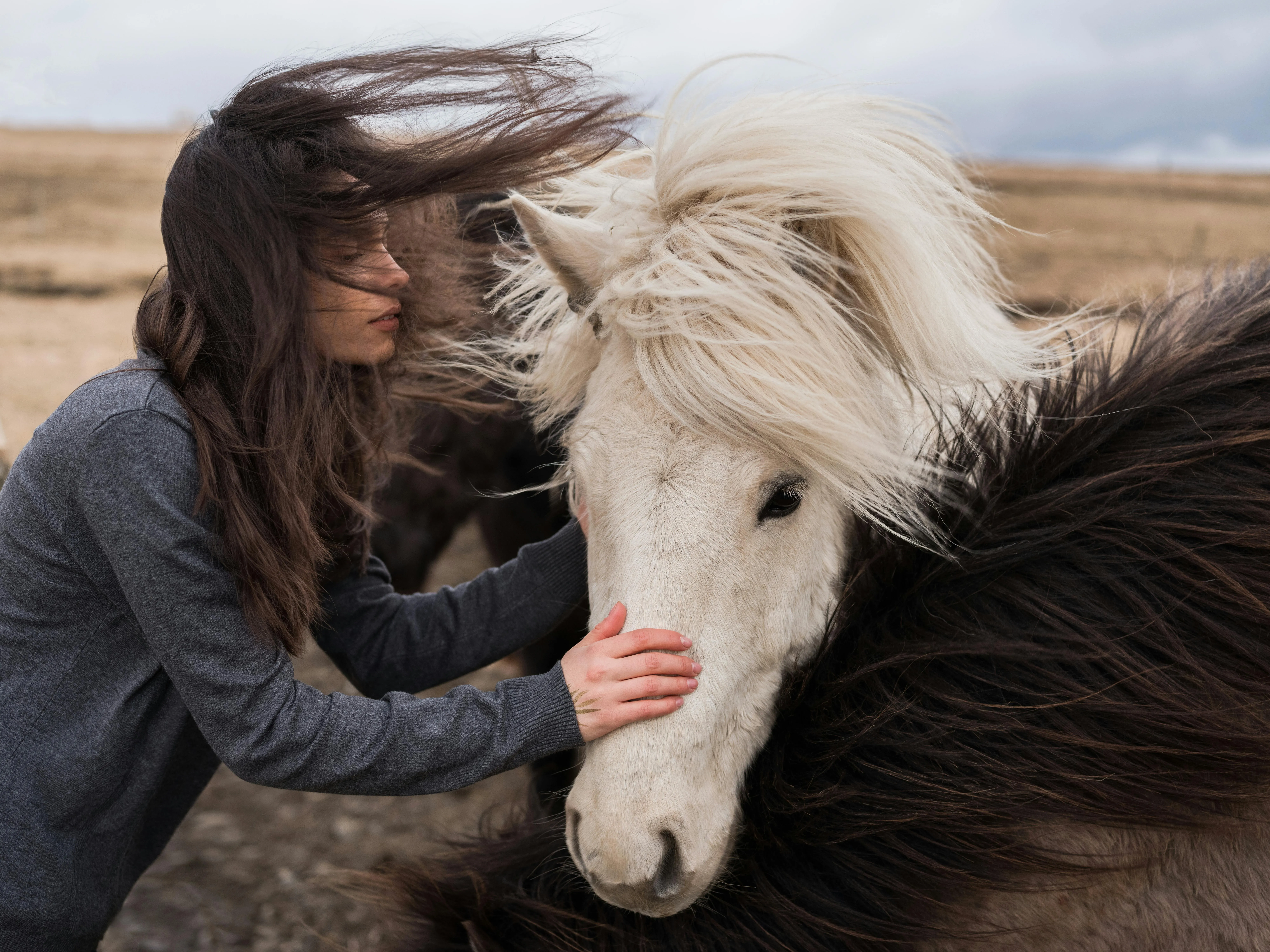 A man stands outdoors facing an Icelandic horse on a snowy terrain.